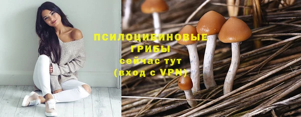 альфа пвп Куйбышев