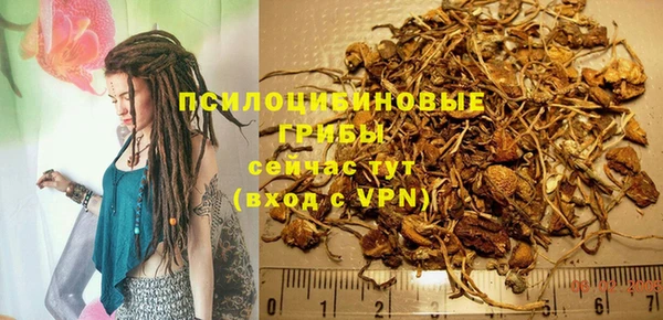 сатива Краснослободск