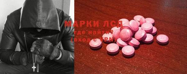 сатива Краснослободск